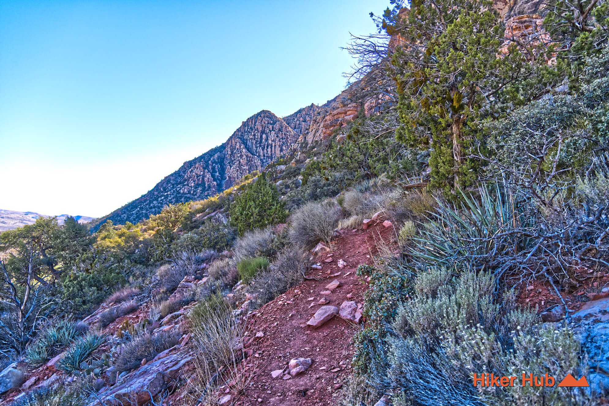 SMYC Canyon Route desert canyon scenery