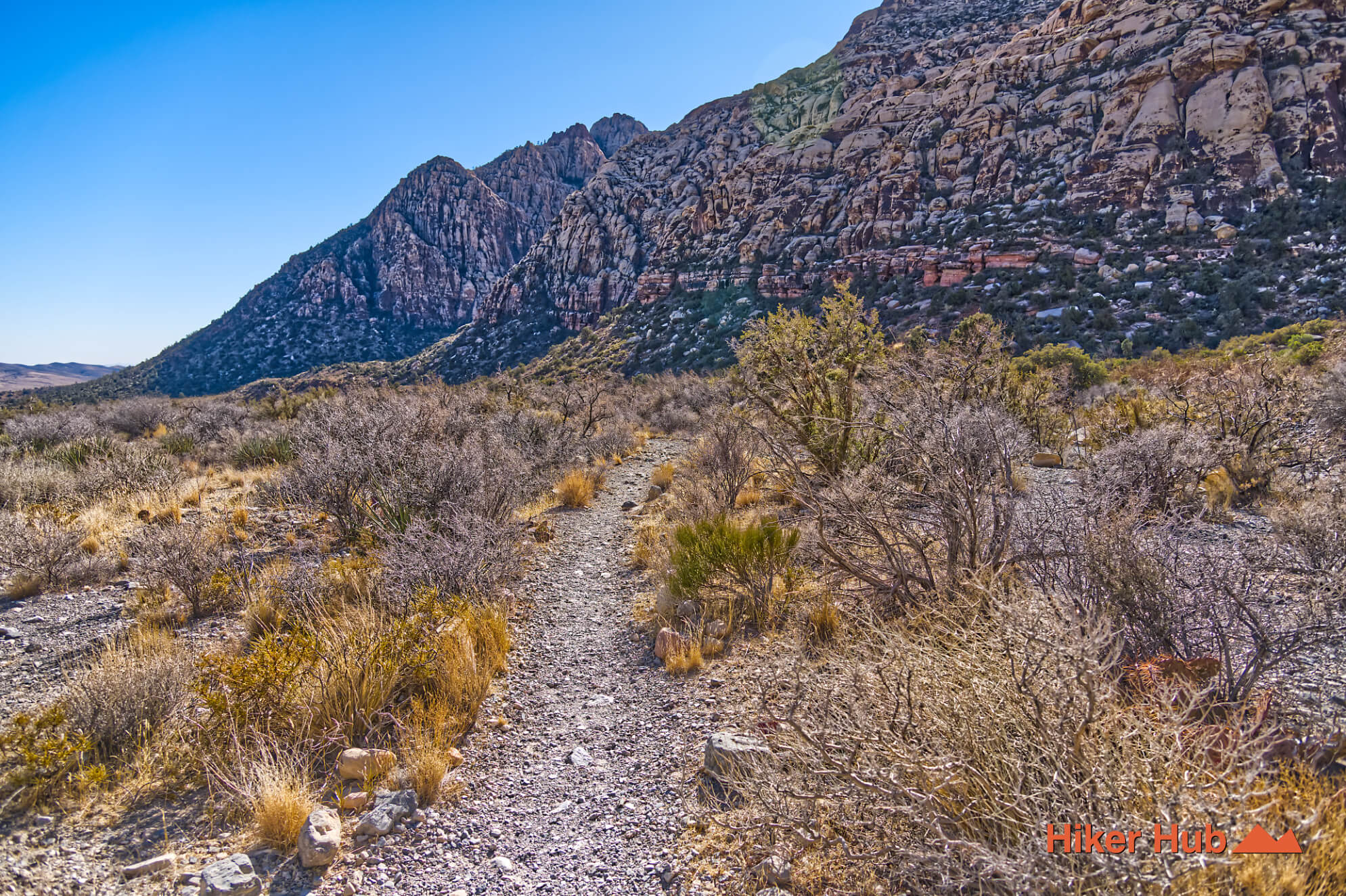 SMYC Trail desert canyon scenery