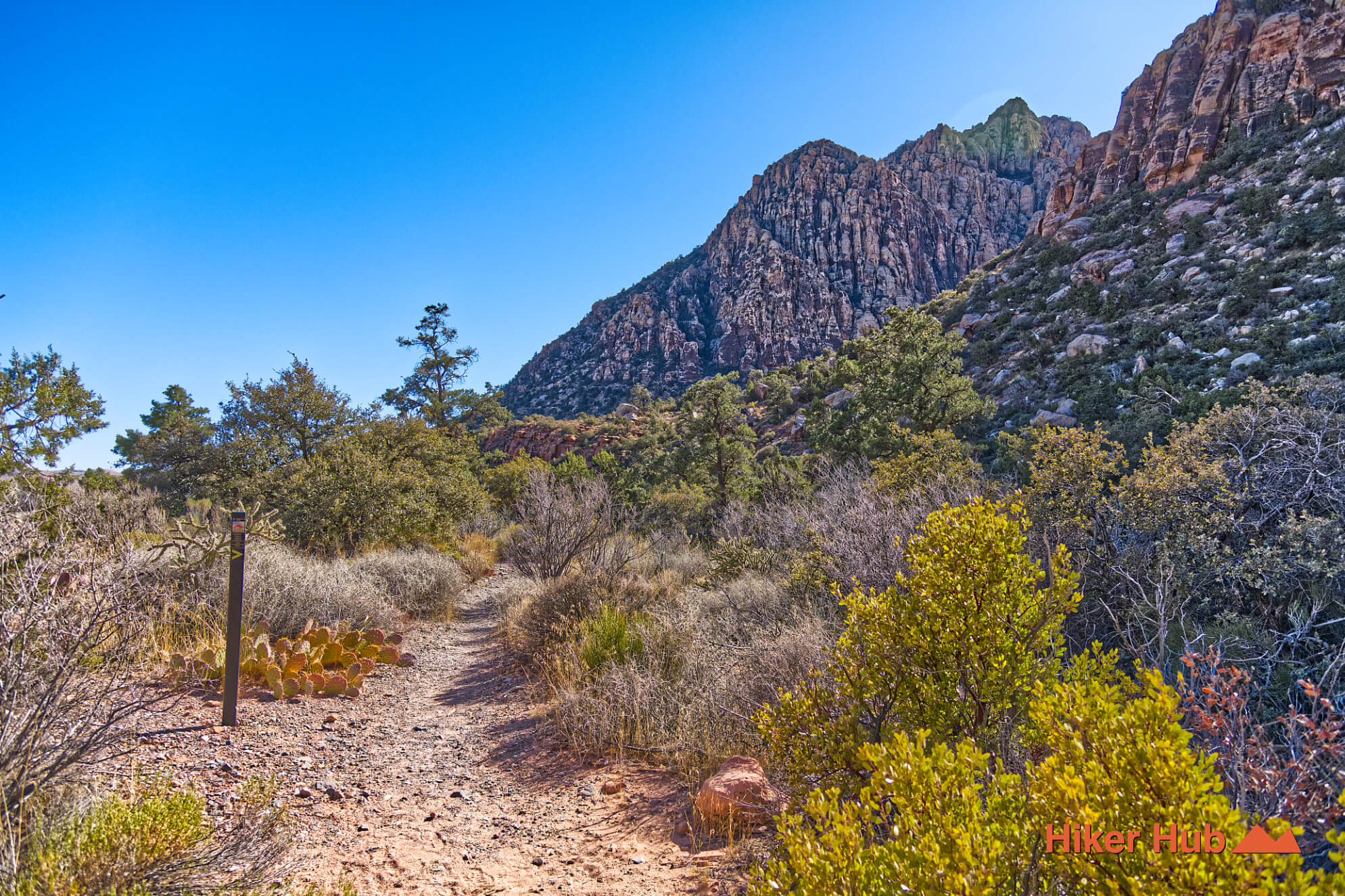 SMYC Trail desert canyon scenery