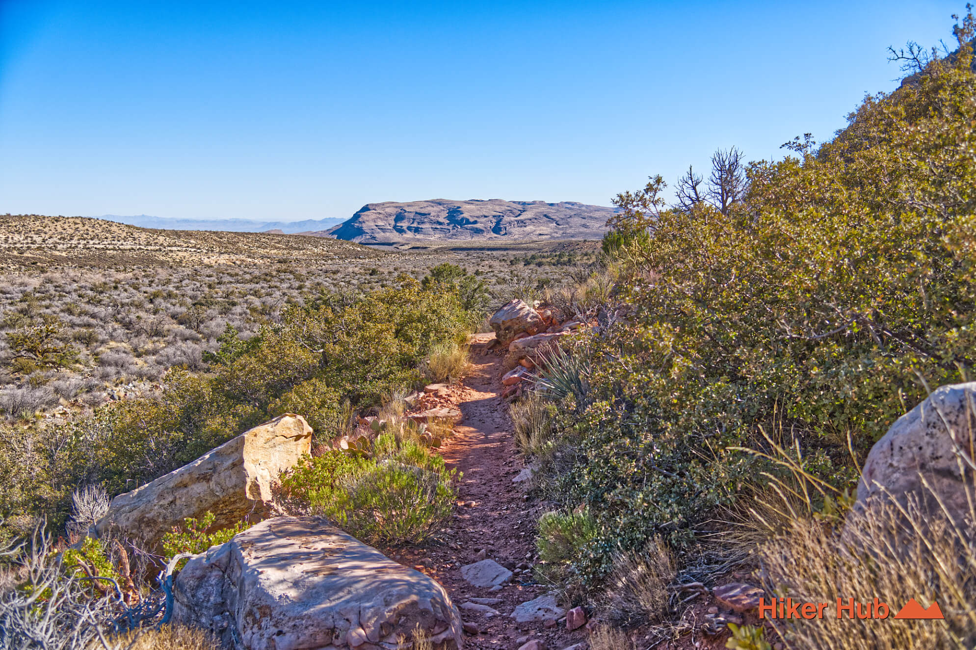 SMYC Trail desert canyon scenery