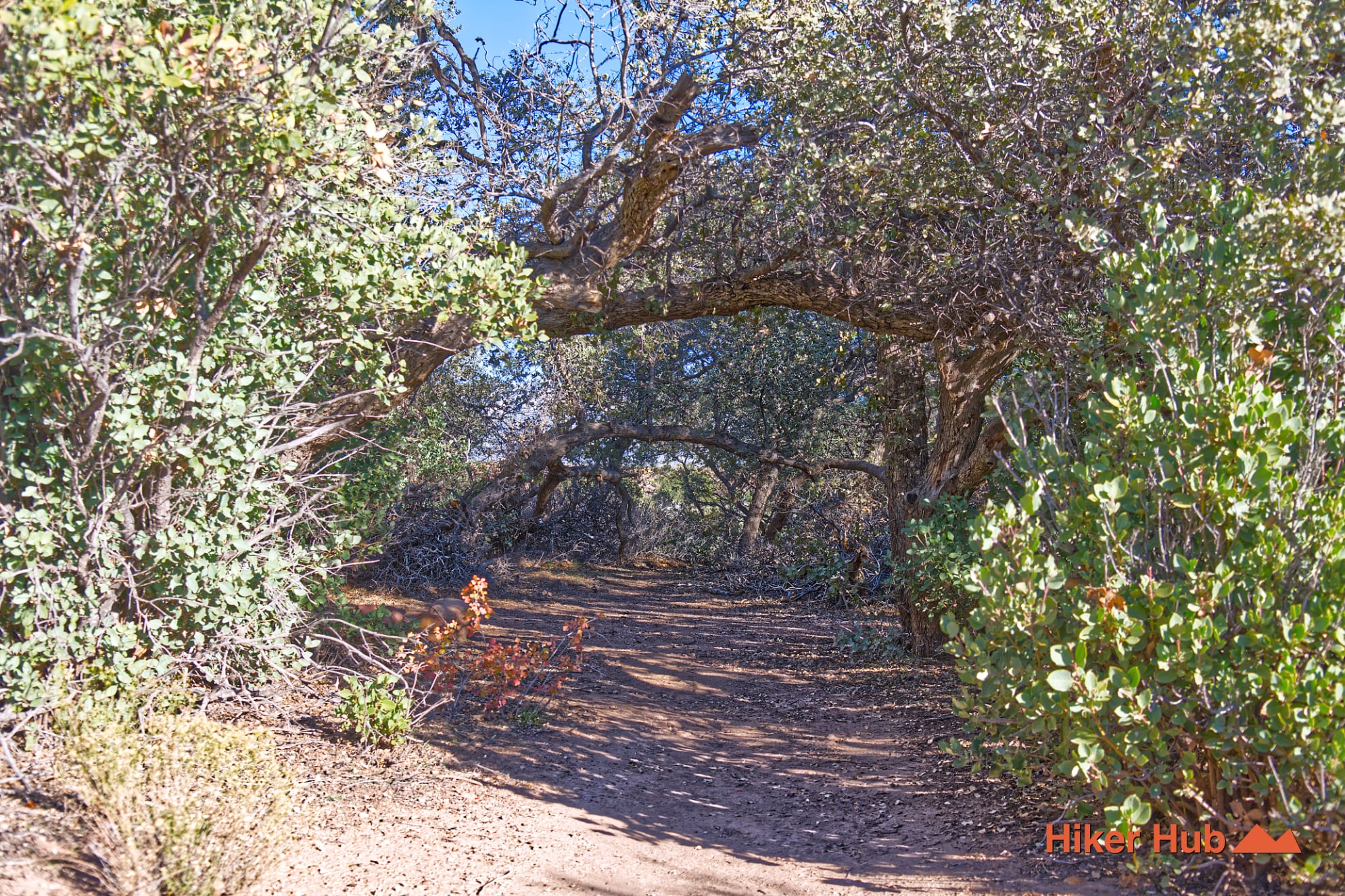 South Oak Creek Trail desert canyon scenery