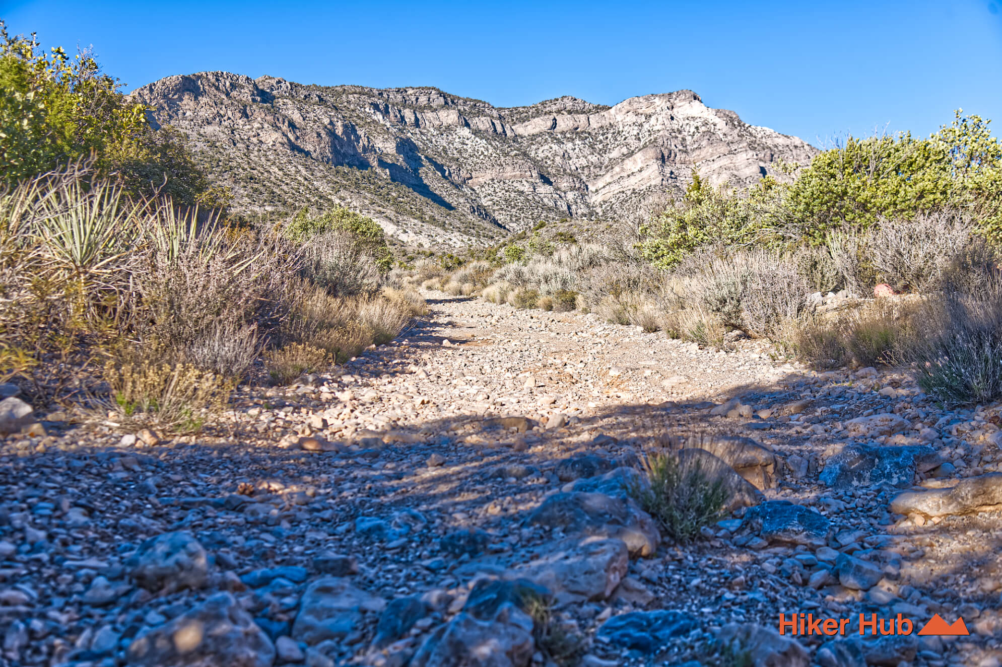 White Rock Hills Loop Trail desert canyon scenery