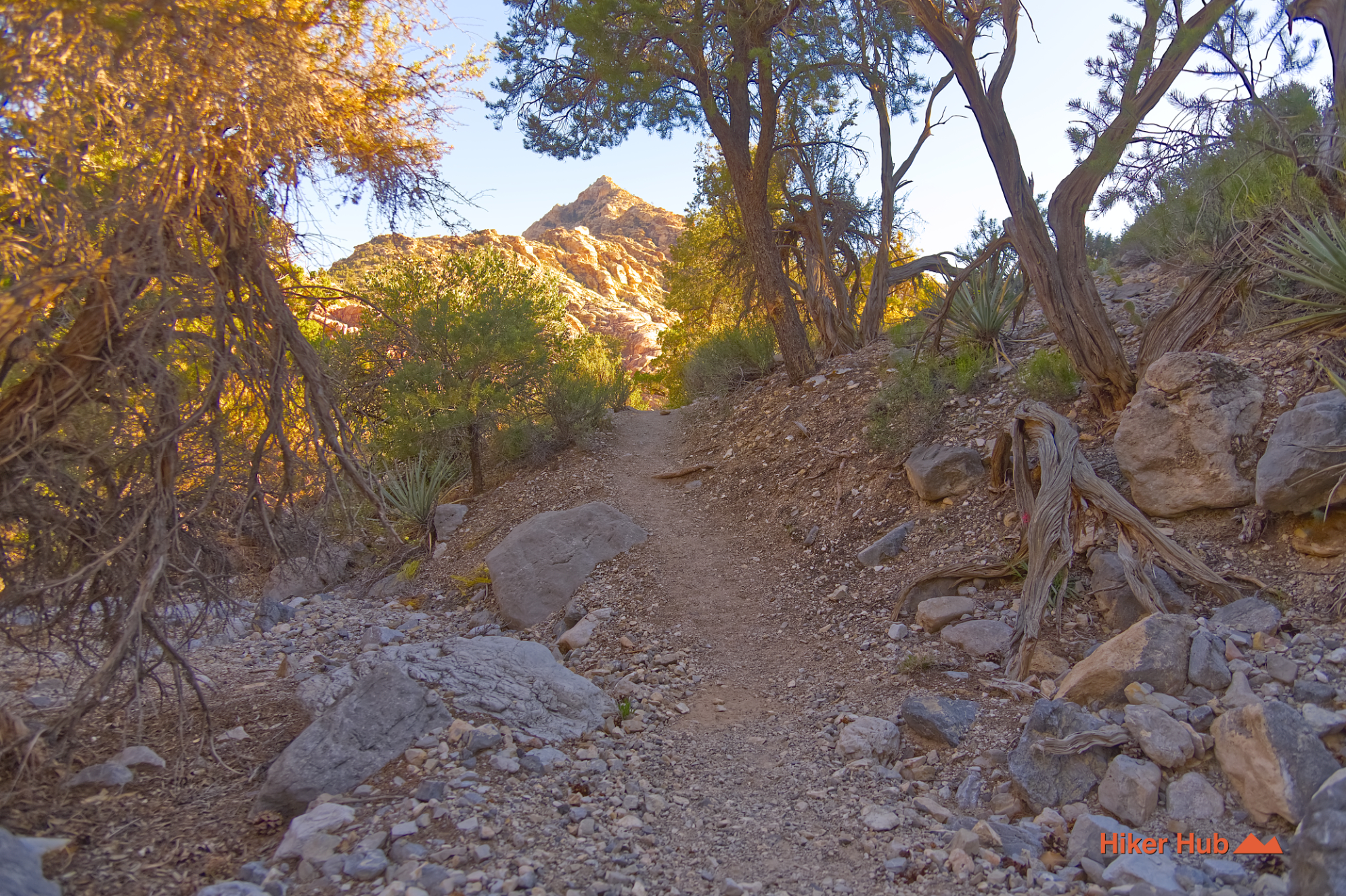 White Rock Hills Loop desert canyon scenery