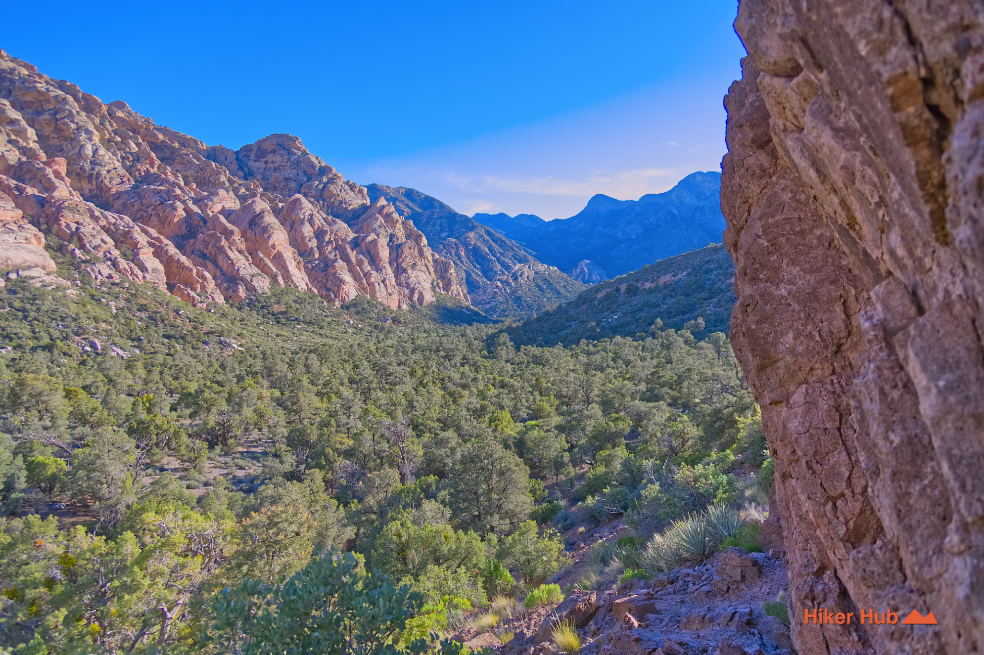 White Rock Hills Loop desert canyon scenery