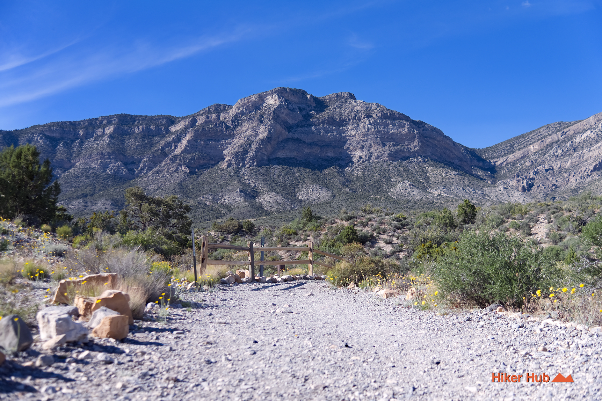 White Rock Hills Loop desert canyon scenery