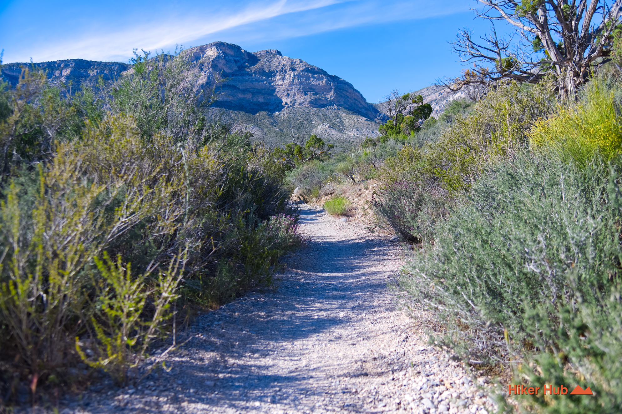 White Rock Hills Loop desert canyon scenery