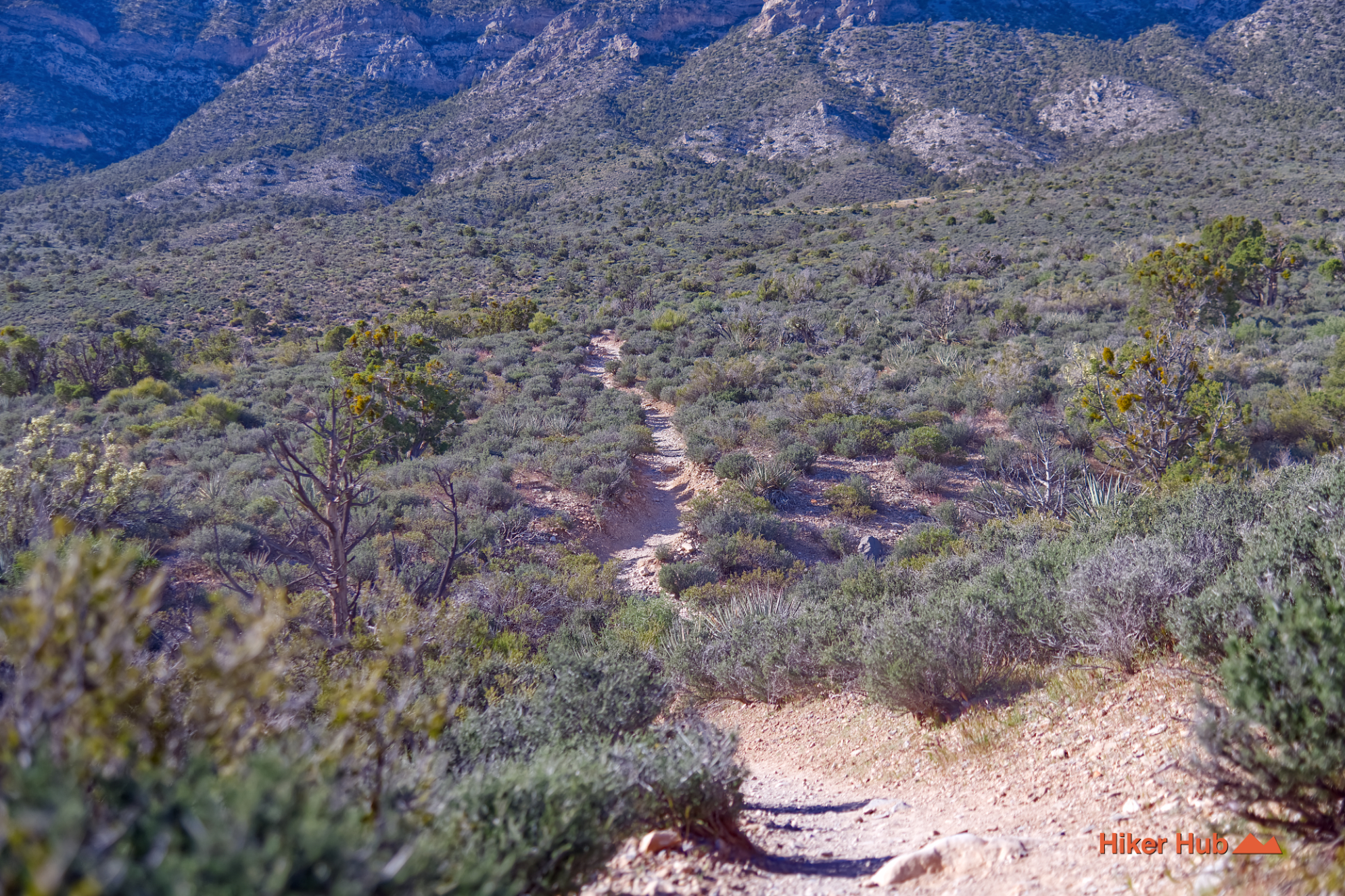 White Rock Hills Loop desert canyon scenery