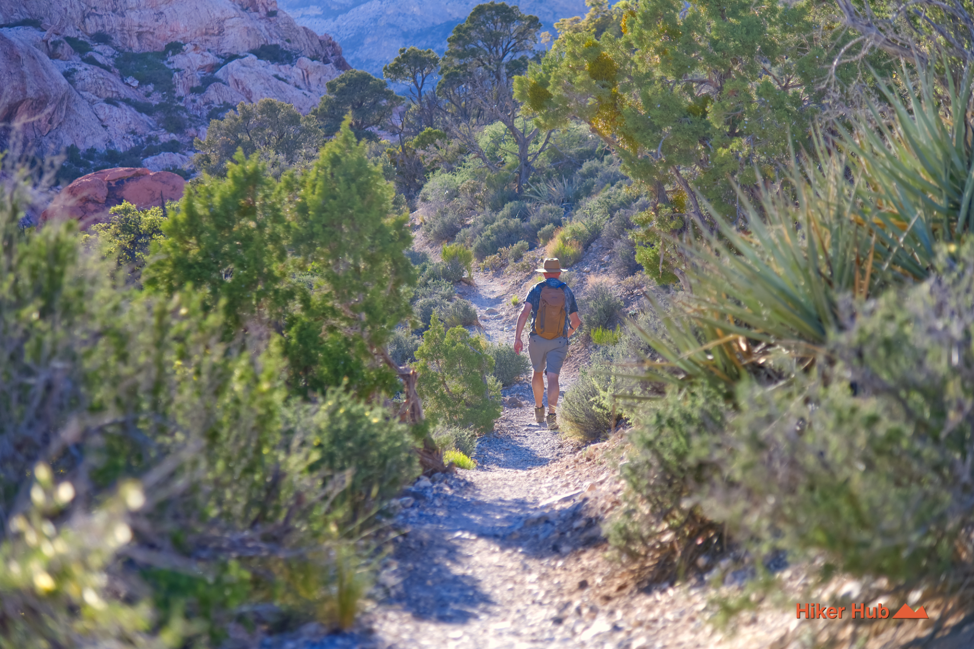 White Rock Hills Loop desert canyon scenery