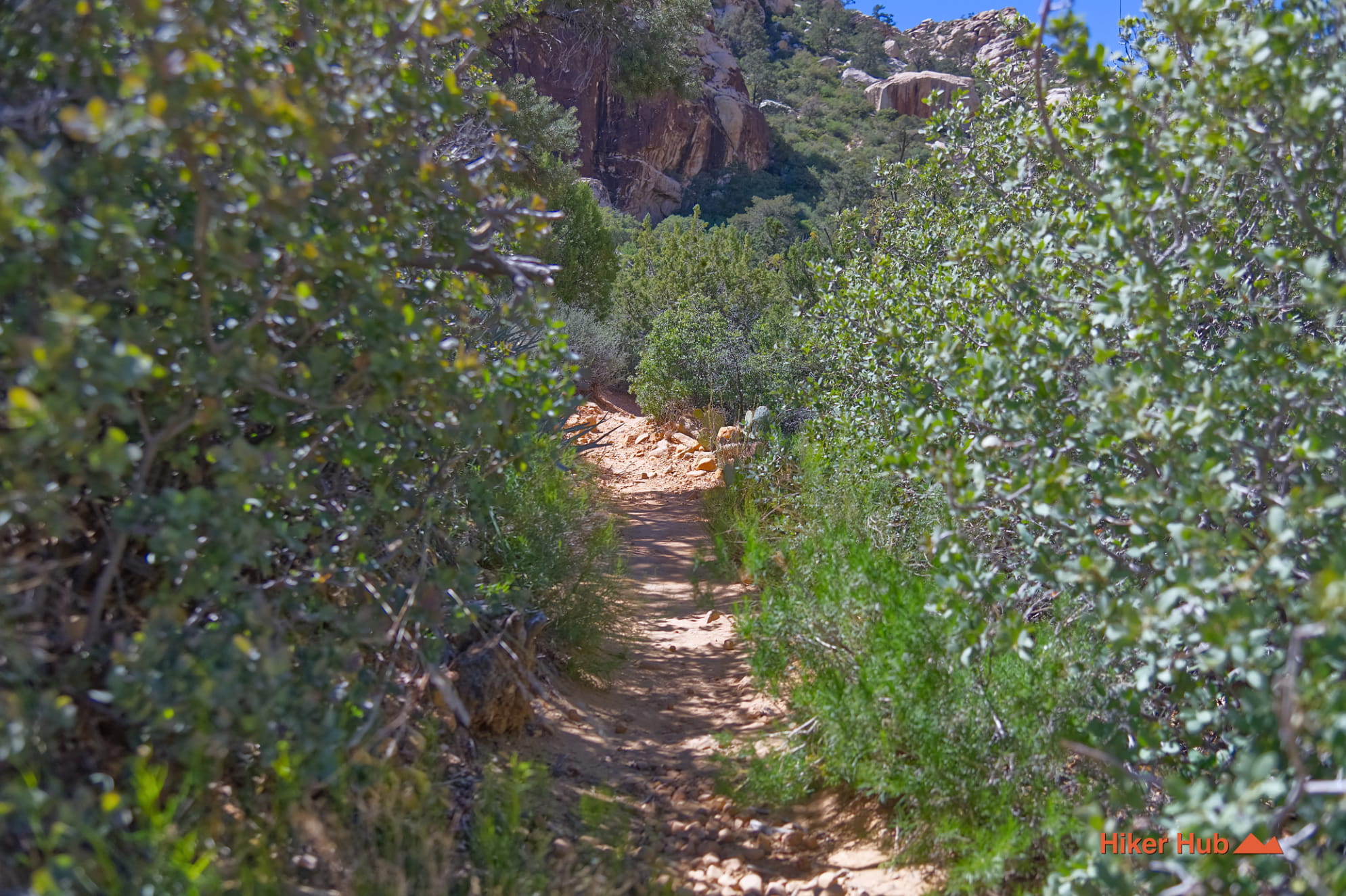 Willow Springs Trail photo
