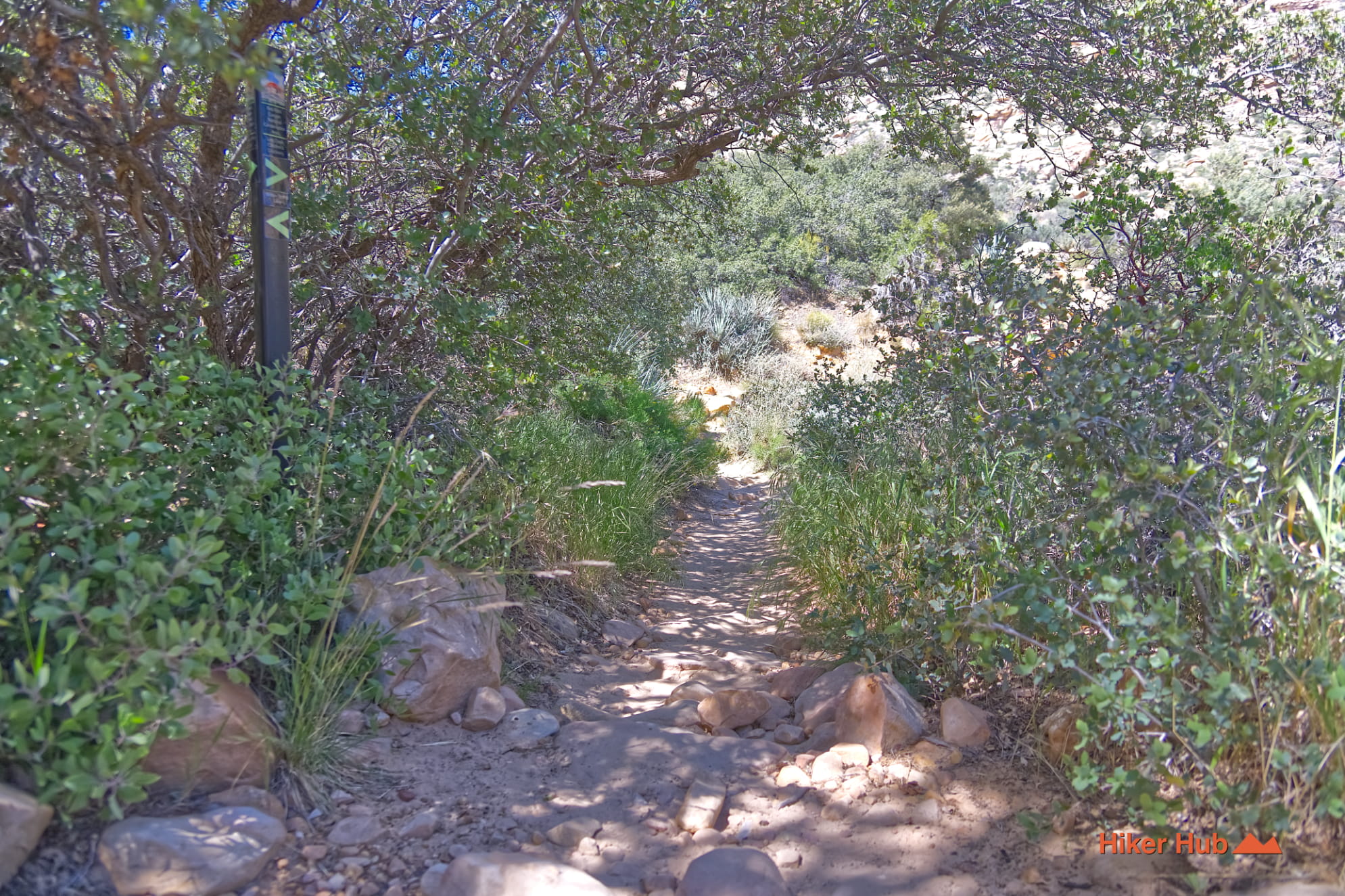 Willow Springs Trail photo