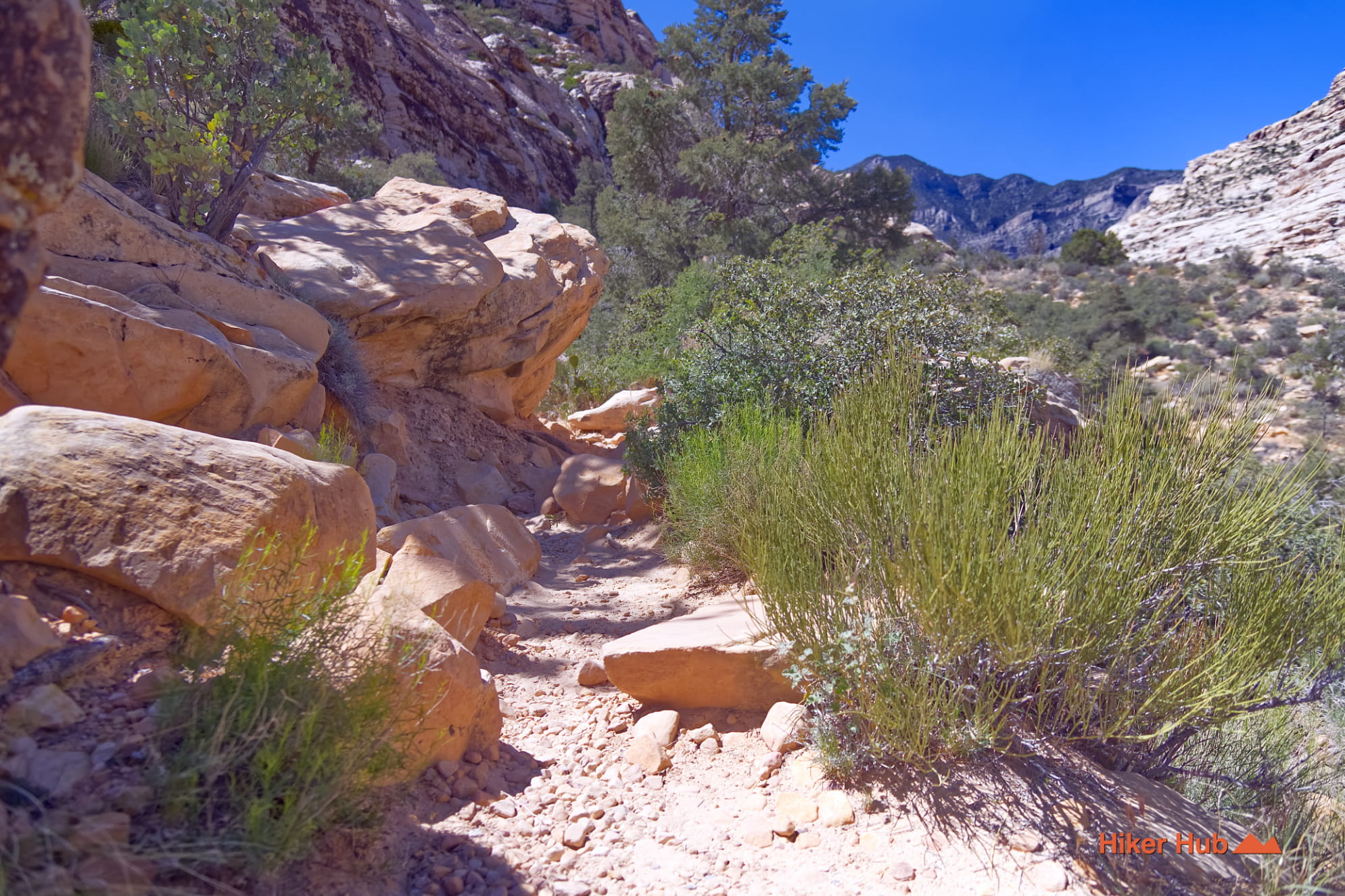 Willow Springs Trail photo