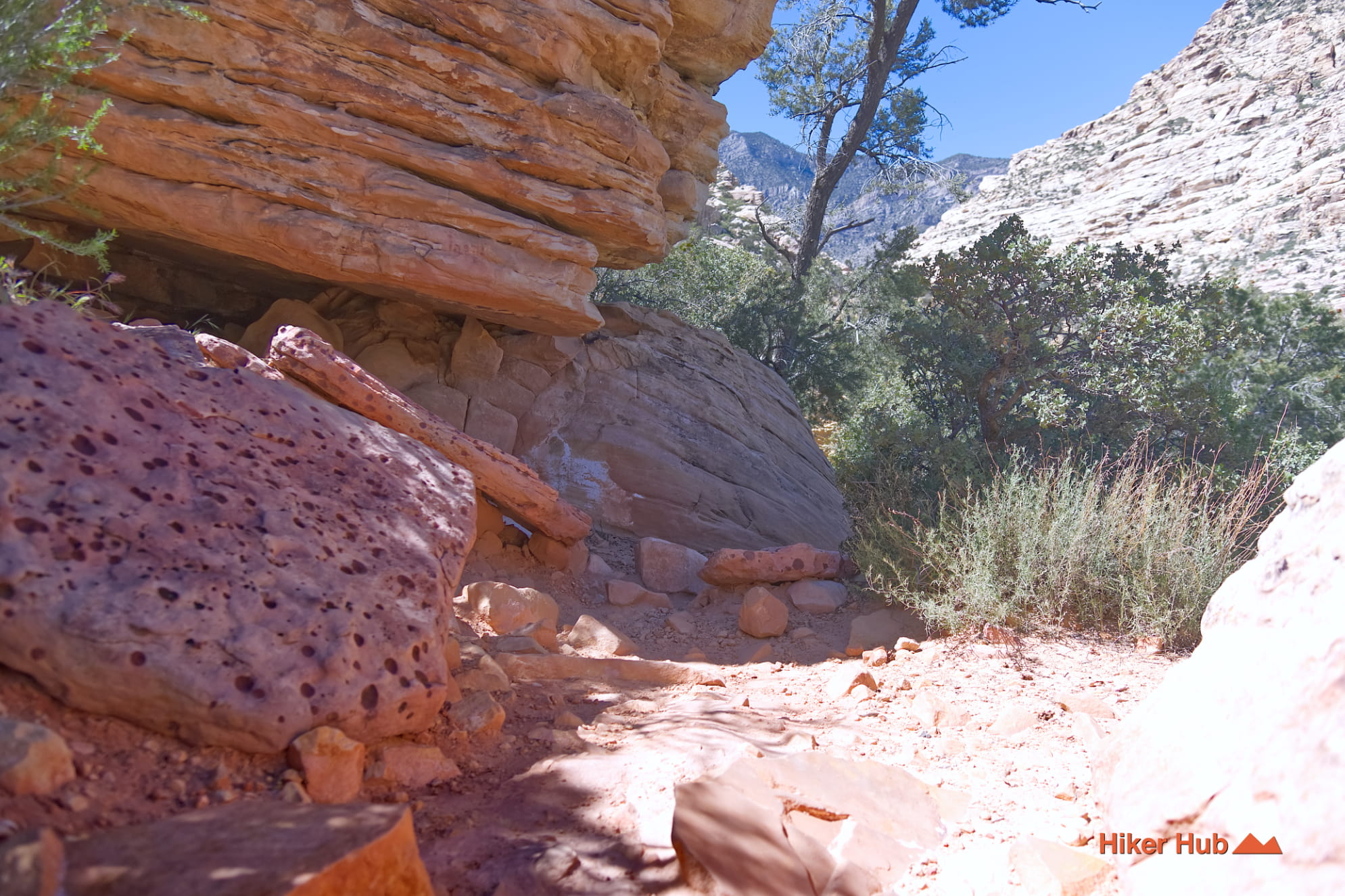 Willow Springs Trail photo