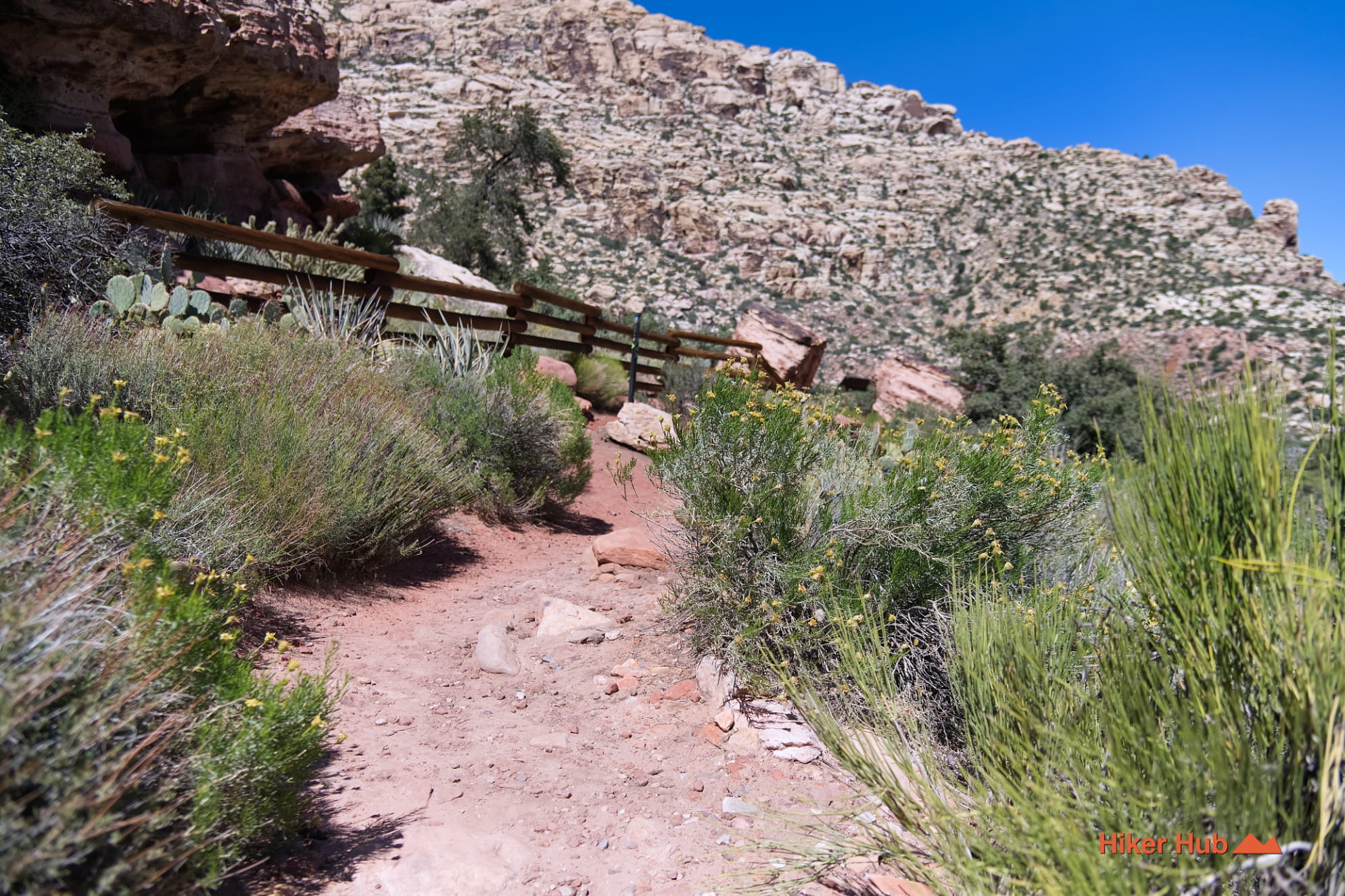 Willow Springs Trail photo