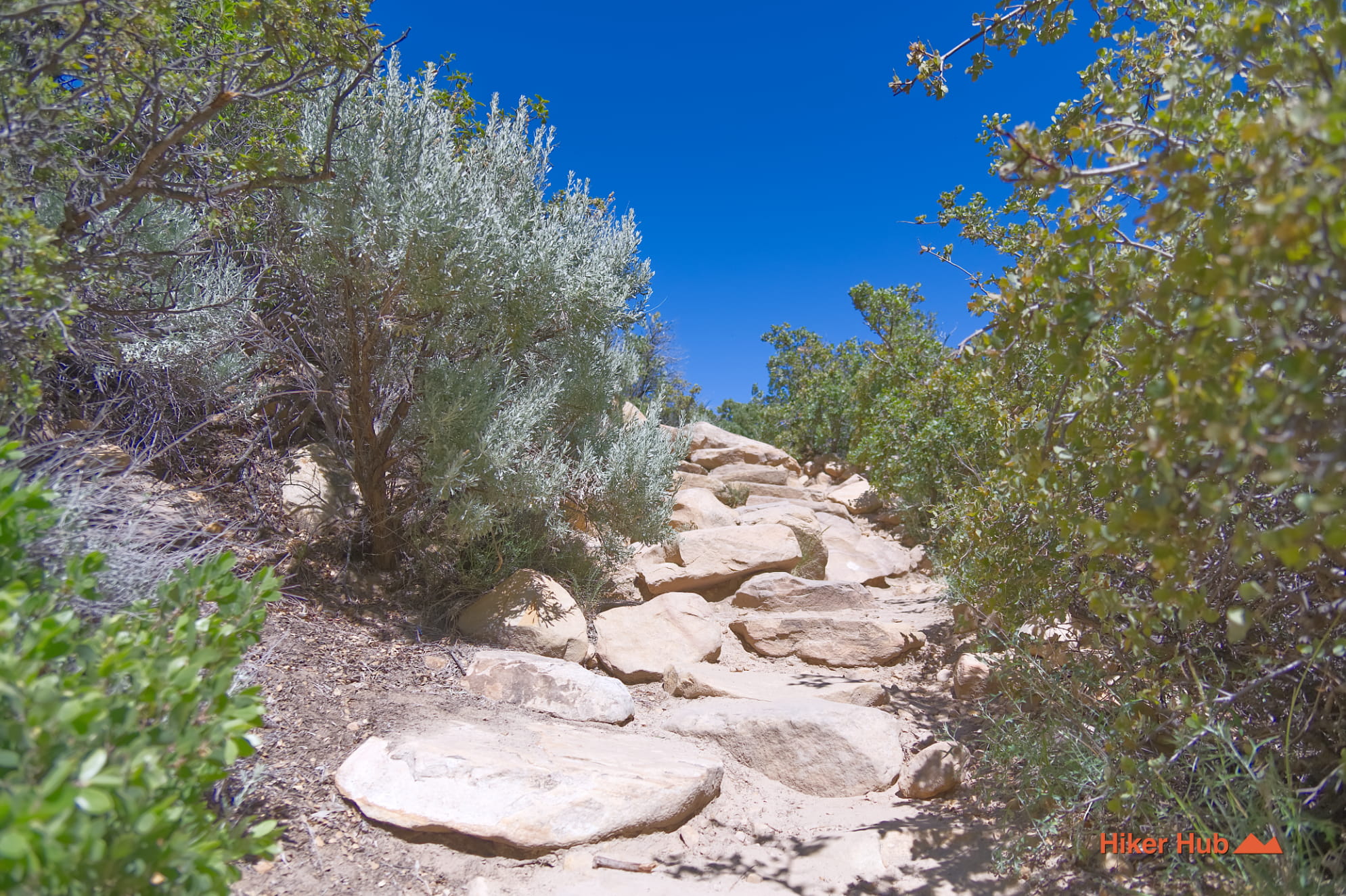 Willow Springs Trail photo