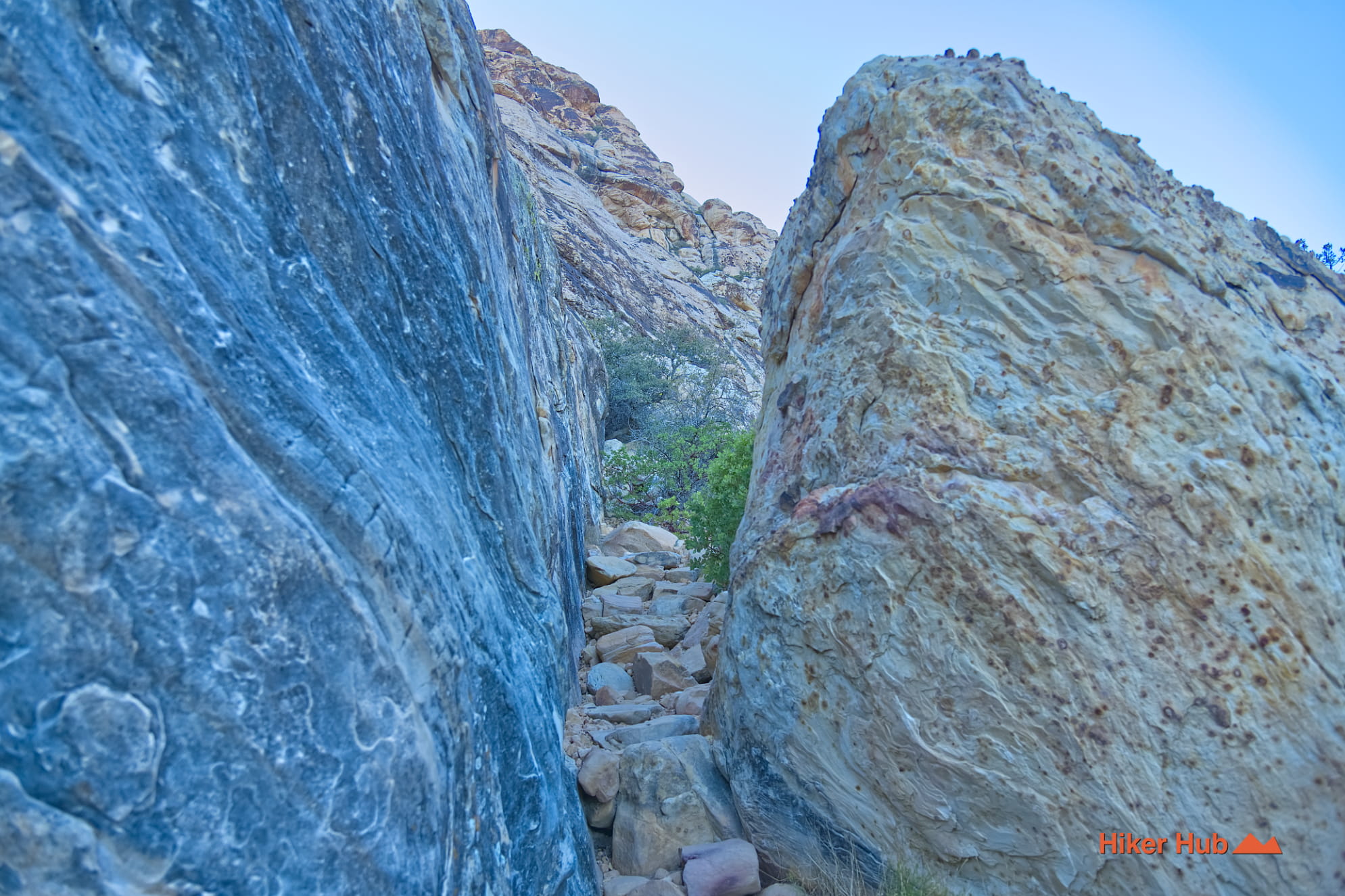 Willow Springs Trail photo