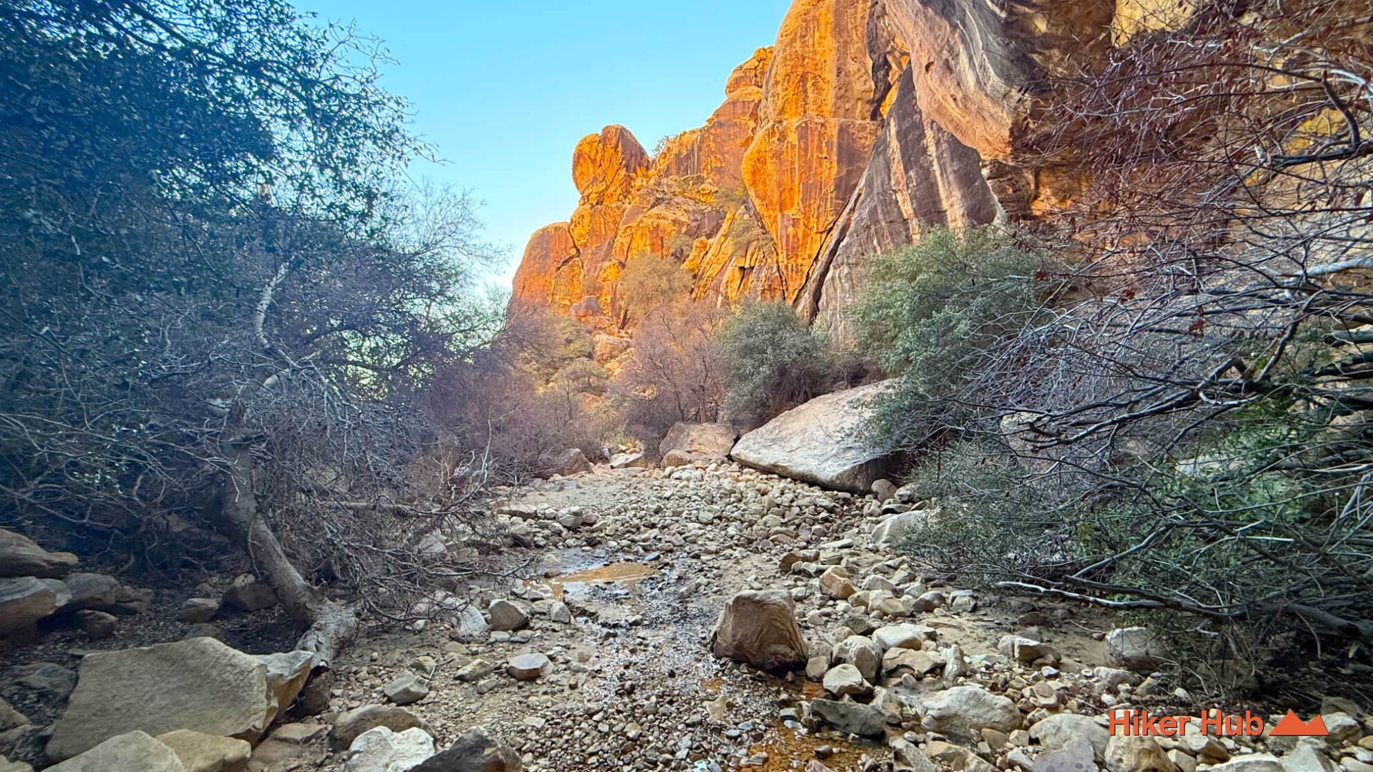 
                            Willow Springs Trail