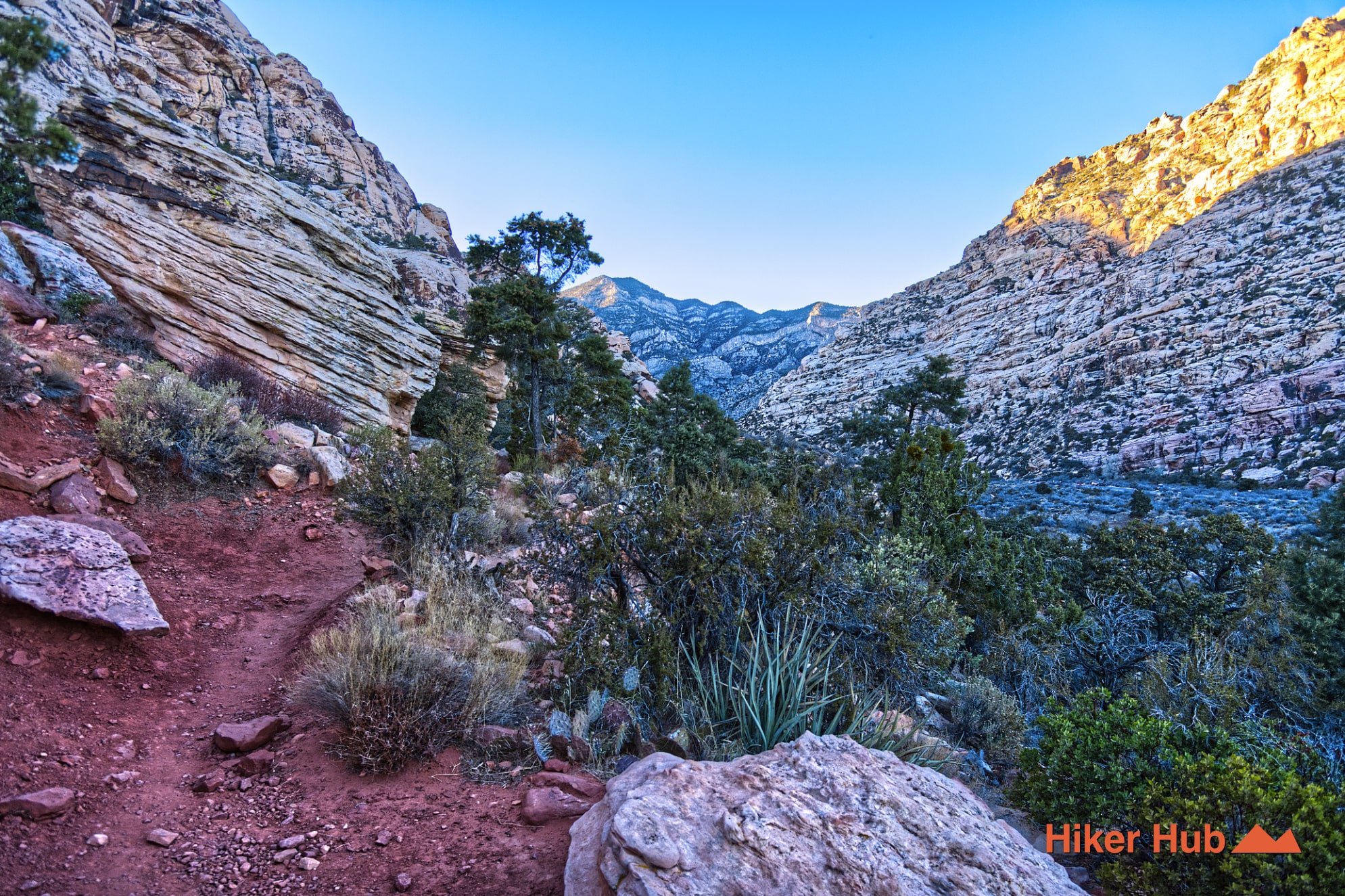 Willow Springs Trail desert canyon scenery